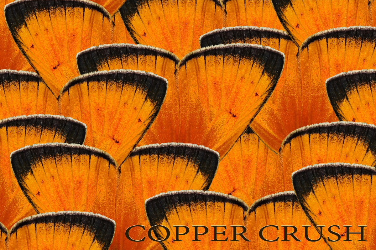 Copper Crush