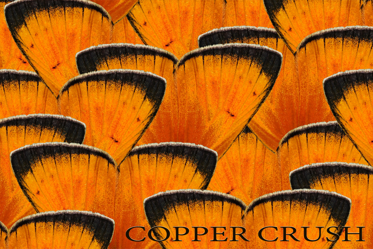 Copper Crush